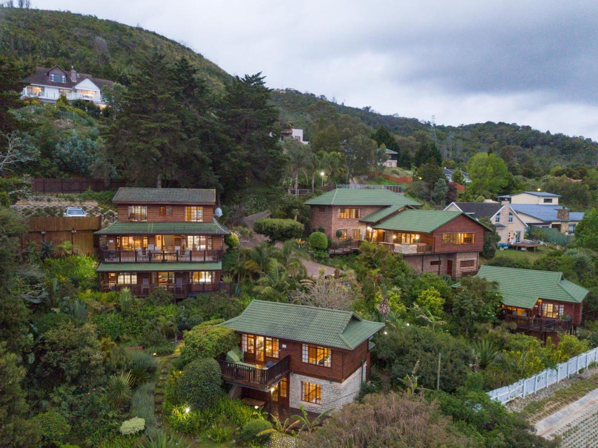 Big Tree House Lodge Knysna Exterior photo