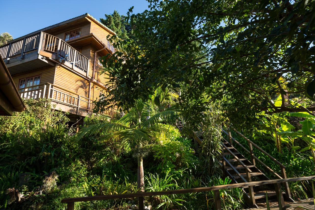 Big Tree House Lodge Knysna Exterior photo