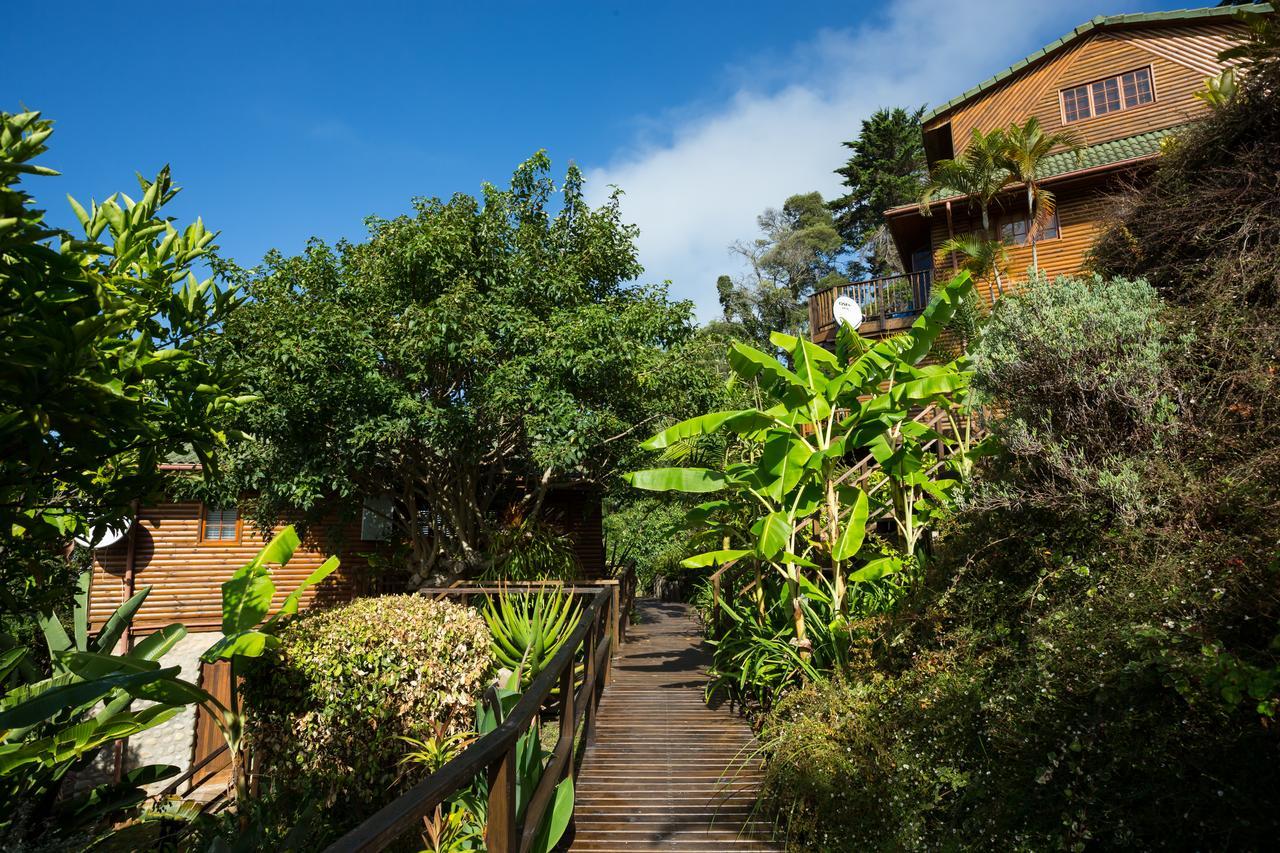 Big Tree House Lodge Knysna Exterior photo