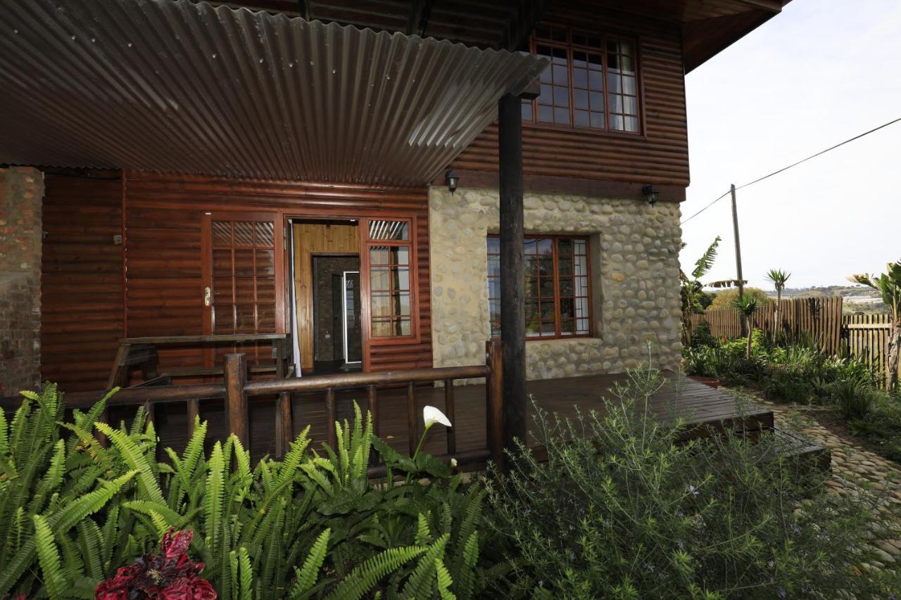 Big Tree House Lodge Knysna Exterior photo