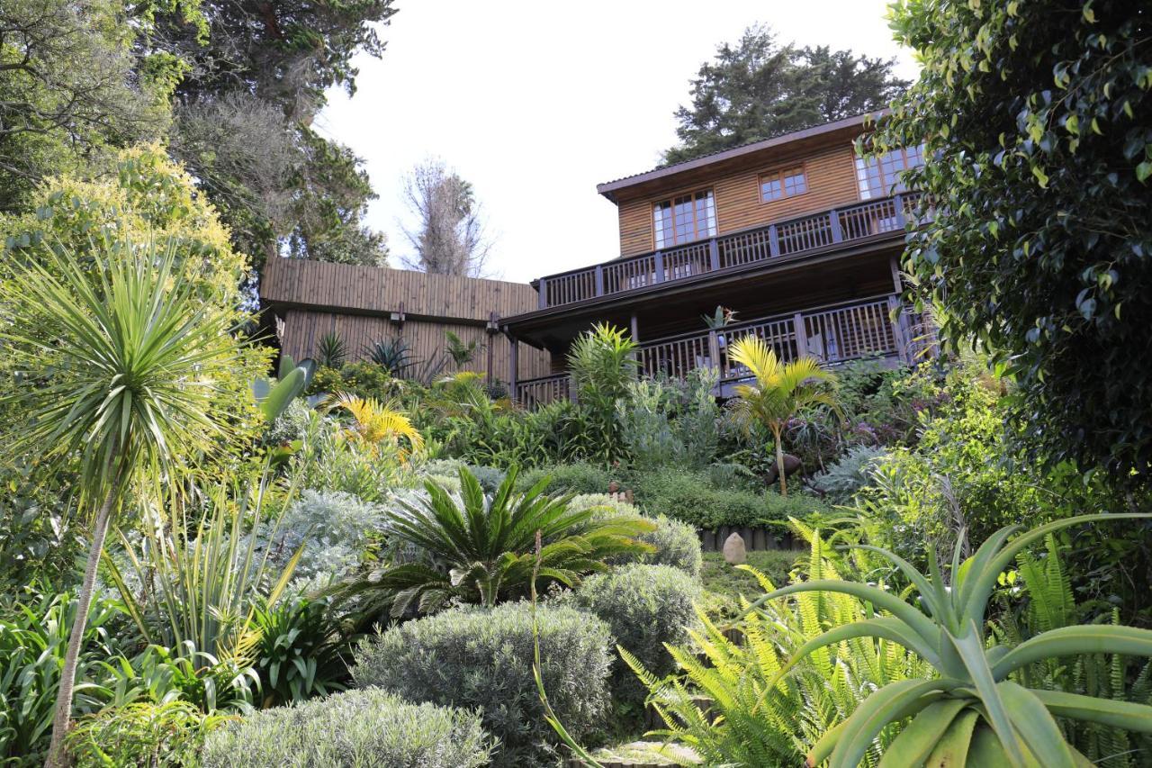 Big Tree House Lodge Knysna Exterior photo