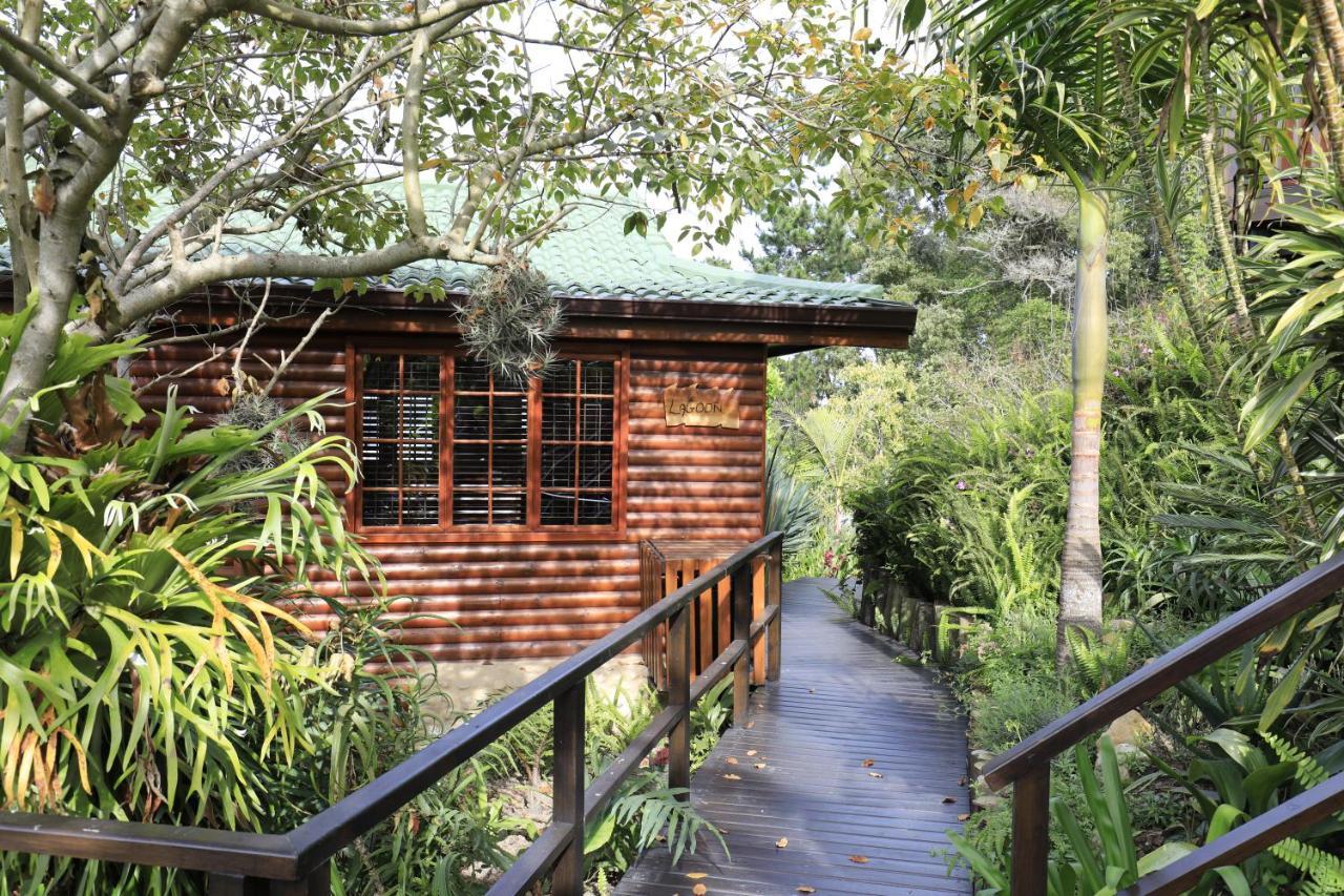 Big Tree House Lodge Knysna Exterior photo